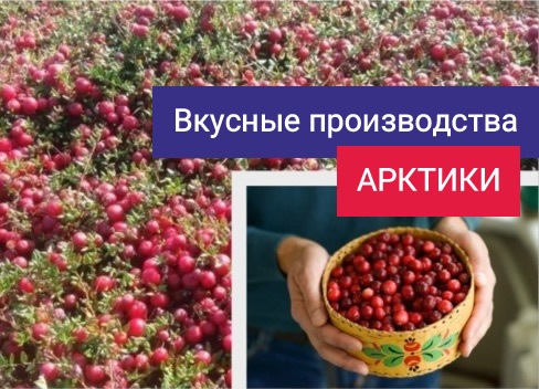 Экскурсионный тур «Вкусные производства Арктики»